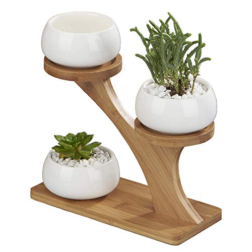 FLOWERPLUS Planter Pots Indoor, 3 Pack 3 Inch White Ceramic Decorative Small Round Succulent Cactus Flower Plant Pot with Tree Tier Bamboo Stand for Garden Kitchen Home Office Desk Decorations
