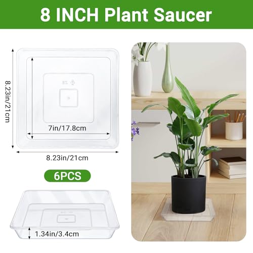 GREANER Square Plant Saucer, 8 Inch Plant Trays for Indoors No Holes, Clear Water Trays for Pots, Durable Flower Pot Saucers for Indoors and Outdoors(6 Packs) - color: Clear, size: 8"