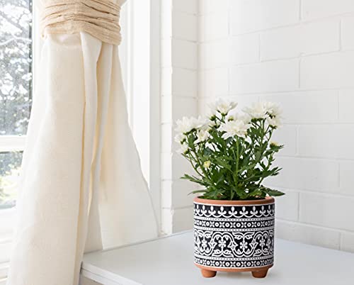 D'vine Dev 2-Pack Terracotta Pots, 4/6 in, Midnight Lace, 31-953-F-2 - style: Midnight Lace