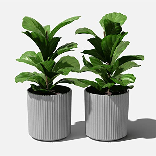 Veradek Demi Series Planter - Large Round Outdoor Planter - color: Gray, size: 16 inch - 2 Pack