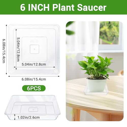 Greaner 6 Inch Square Plant Saucer, 6 PCS Plastic Tray for Pot-Fits Planters Up to 5″ Bottom Diameter, Durable Thick Flower Pot Plant Drip No Holes for Indoor Outdoor Planter(Clear) - color: Clear, size: 6"