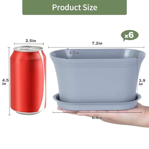 Oliz 6pk Windowsill Planters, Grey Plastic w/Drain Tray - Indoor/Outdoor - color: Gray