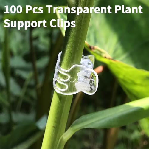 100 Pcs Orchid Clips Transparent Plant Clips Flower Vine Clip for Supporting Plant Orchid Support Clip Flower Stems Stalks Vines Climbing Plant Grow Upright