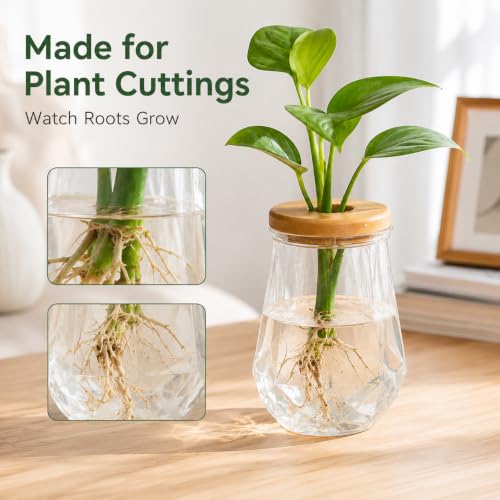 Propagation Station for Plant Cuttings, Plastic Modern Hydroponic Vase with Lid, Clear Root Observation Pot for Living Room & Office Desktop Decor - size: C-Diamond-Style Plastic Model
