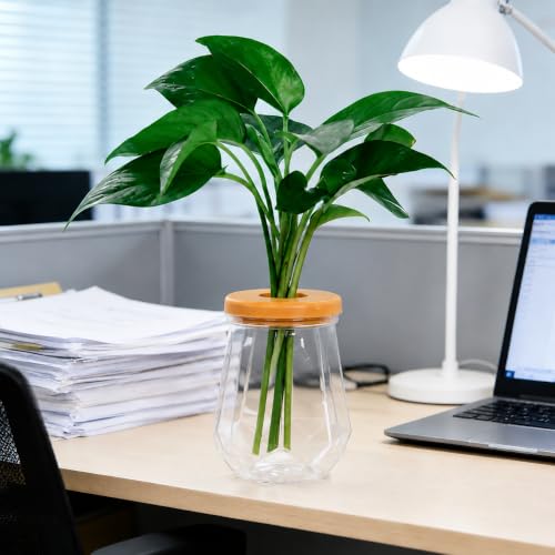 Desktop Plant Hydroponic Vases, Water Plant Jars, Gardening Gifts for Office and Home, Outdoor, Transparent Diamond Pattern - color: Transparent Diamond Pattern