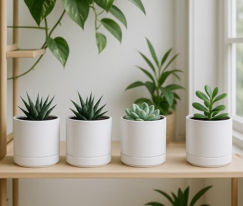 D'vine Dev 4-Pack Ceramic Pots with Saucers, White, 4.7 in, 94-X-B-1 - color: White, size: 4.7 Inch