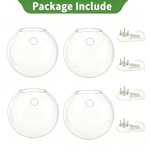 NUPTIO Glass Wall Hanging Planters: Propagation Station for Plants, 4 Pcs - size: 4 Pcs