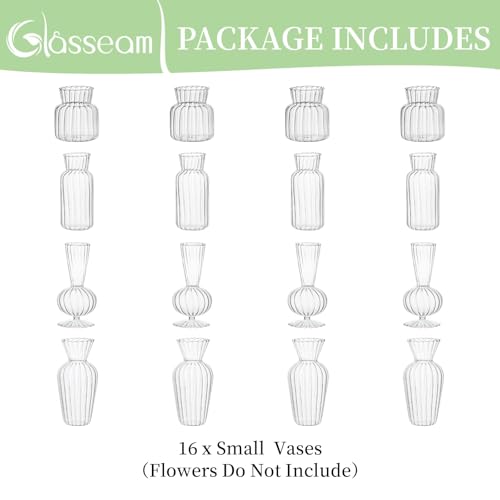 Glasseam Glass Bud Vases Bulk, 16 Pcs Small Clear Vases for Centerpieces - size: 16pcs