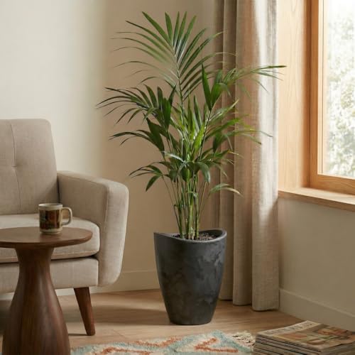 15.7" Tall Planter | Eco-Friendly, Durable, Lightweight | Indoor/Outdoor Use, All-Weather, Contemporary Design by Brazilian Artisans - Black - color: Marbled Black, size: 15.7" H x 11.8" W