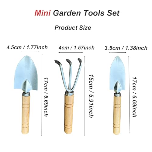 3 Pcs Mini Garden Tools Set Small Tiny Shovel Trowel and Hand Rake with Solid Wood Handle Indoor Gardening Tools for Pot Plants Succulent Bonsai - style: 3PCS Mini Silver