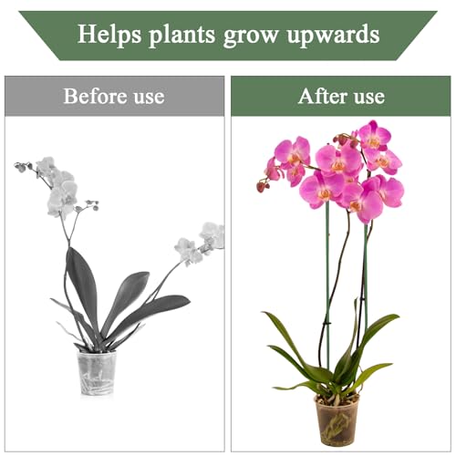 Nogeqi 10 Pack Orchid Stakes and Clips, Flexible Plant Support Stakes,11.8 Inch Plant Holder Stick for Garden,Plants Supports for Tomato Rose Outdoor Indoor Plants Professional Phalaenopsis - color: green