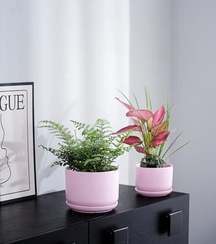 Plant Pots,Ceramic Planters with Drainage Holes&Saucer Set of 3(Matte Pink) - color: Matte Pink