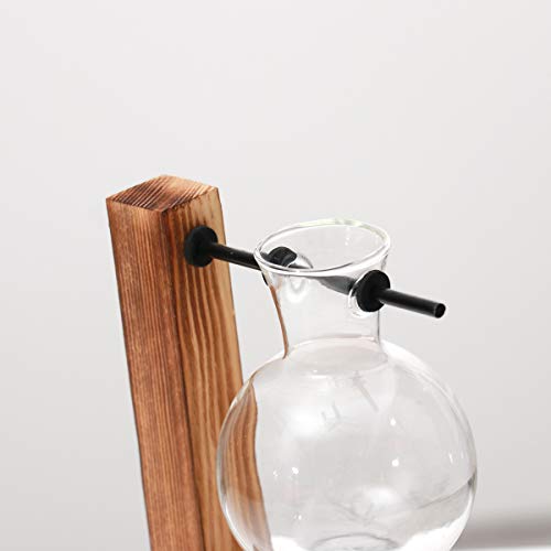 Kingbuy Hydroponic Glass Vase with Retro Wooden Stand - size: B(2 Bulb Vase)