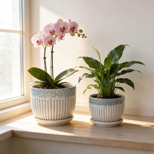 Vintage Flower Pots for Indoor Plant, Round Ceramic Plant Pots with Drainage Holes and Saucers, 6.7/5.2/3.9 Inches Retro Flower Planters Set of 3 - color: Vintage Lace