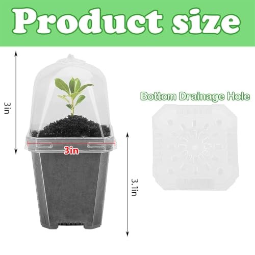 EBaokuup 30PCS Clear Plant Nursery Pots with Humidity Dome - 3" Durable Plastic Gardening Pot, Small Plant Container for Seedlings/Vegetables/Succulents/Cuttings - color: 30pcs-white, size: 3 Inch