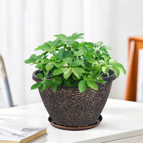 Nooulap 6 Pack 8 inch Plant Pots - color: Firework Imitation, size: 8 inch