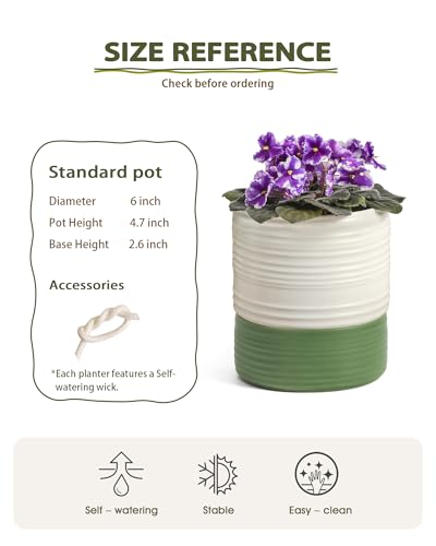 Fayoula Self Watering Pots for Indoor Plants, 6 Inch Ceramic Self Watering Plant Pot, Planter Pot with Wick Rope and Drainage Hole for African Violet Succulent Herbs (White Matte) - color: White Matte