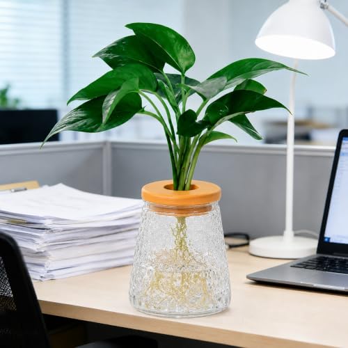 Desktop Plant Hydroponic Vases, Water Plant Jars, Gardening Gifts for Office and Home, Outdoor, Transparent Ripple Pattern - color: Transparent Ripple Pattern