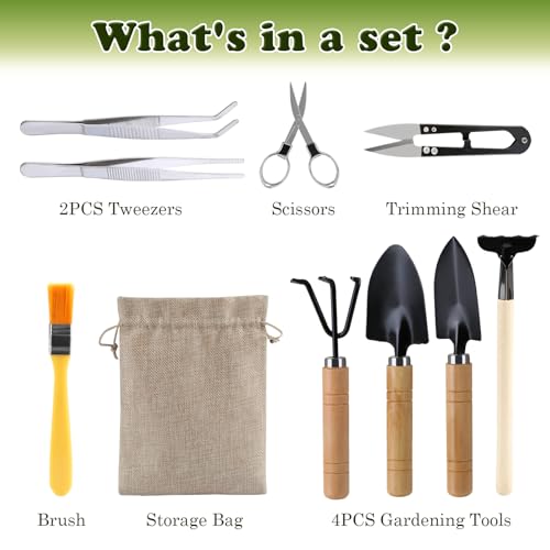 LIHAO 9 Pcs Basic Bonsai Tools Set, Bonsai Tree Kit, Mini Garden Tools
