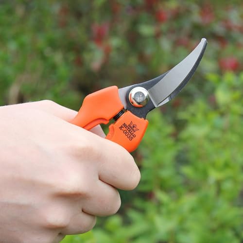 Harvesting Pruners with Curved Blades - Ideal for Fruits, Vegetables, Flowers, & Herbs