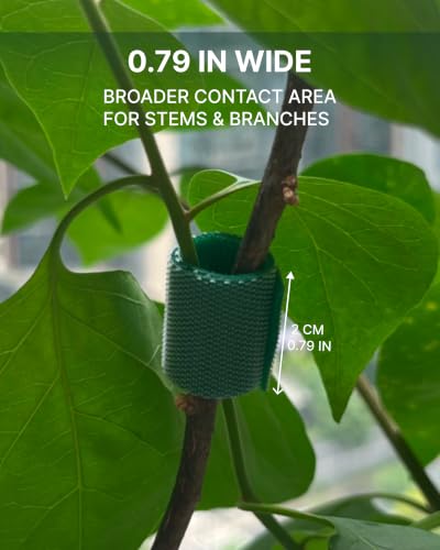 Green Plant Tape, 0.79" Wide Garden Tie, 32.8 FT Plant Ties, Plant Support