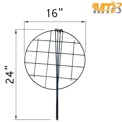 MTB Supply 10 Pack 16 x 24 inch Green Peony Cages Grow Through Plant Support Stakes Flower Support Hoops Heavy Plants Brace Rings - size: Grid 10pack