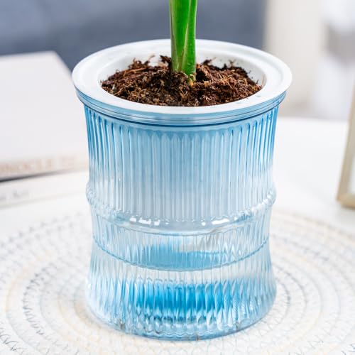 Lazy Hydroponic Flower Pot Automatic Water-Absorbing Plant Pot Transparent Double Layer Plastic Self Watering Planter Office Home Greenery Decor(Lake Blue) - color: Lake Blue