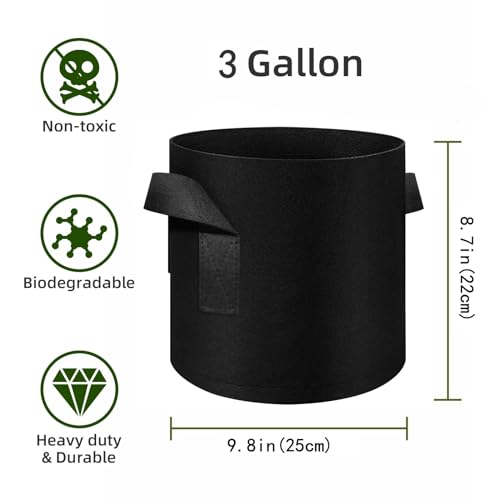 12 Pack 3 Gallon Plant Grow Bags, Thickened Nonwoven Fabric Pots with Handles, Vegetable Planter Bags Containers, Cloth Planters for Garden Vegetable/Flower/Plant/Fruits Outdoor (Black) - color: Black, size: 3 Gallon