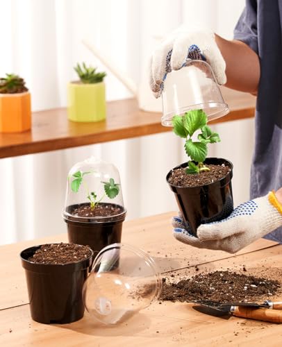 homenote 5 Inch Nursery Pots with Humidity Domes for Seed Starting (15 Pcs) - color: Black-with Lid, size: 5 Inch-15 Pack