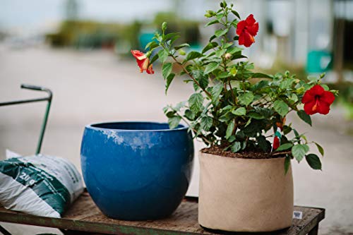 Smart Pots 25-Gallon Smart Pot Soft-Sided Container, Tan - color: Tan, size: 25 Gallon