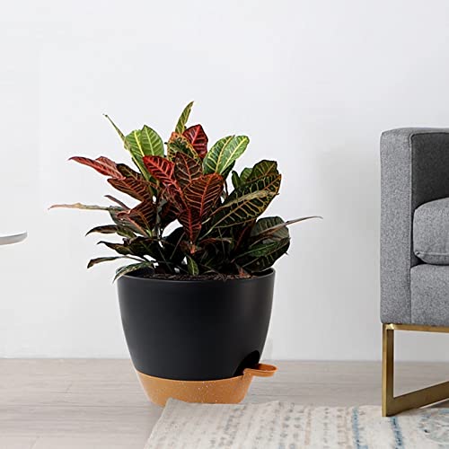 UOUZ Large Self Watering Pots, 12/10/9 Plastic Planters with High Drainage Holes and Deep Reservoir for Indoor Outdoor Garden Plants and Flowers, Black with Brown - color: Black With Brown