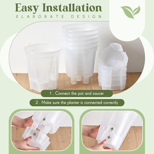 Wonderjune Self Watering Planter, 8.27'', Clear, 6 Pcs - color: Clear, size: 8.27''