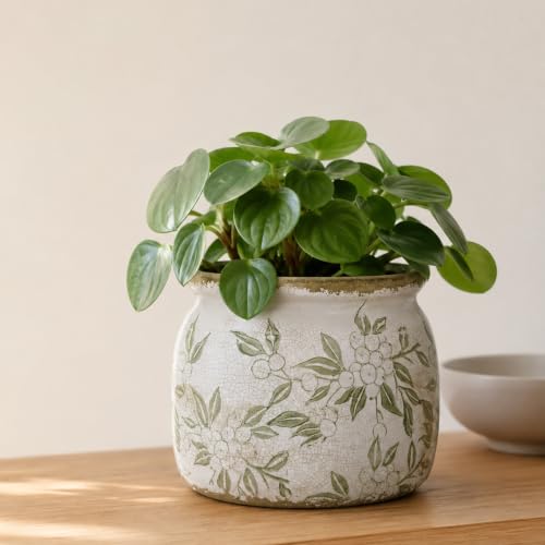 Dosayes Flower Pot,Vintage Ceramic Pot for Plant with Drainage Holes - color: Plum Green