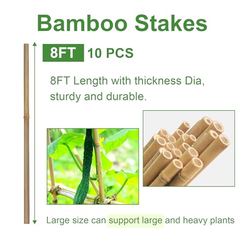 Bamboo Stakes 8FT, 8 Feet Natural Bamboo Plants Stakes, 1" D Thicker Heavy Duty Garden Stakes 10 Pack for Tomatoes, Beans, Flowers, Potted and More Climbing Plants - size: 8FT, pack of 10