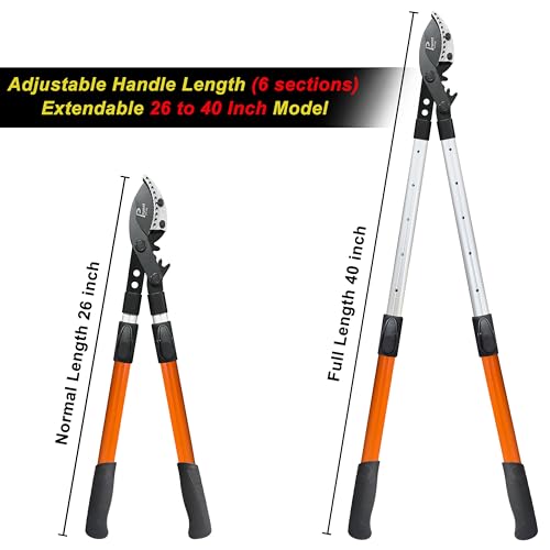 Loppers for Tree Trimming Heavy Duty, 26-40 Inch Handle Telescopic Tree Trimmer, Sync Drive Leverage Pruner, 2 Inch Branch Cutter
