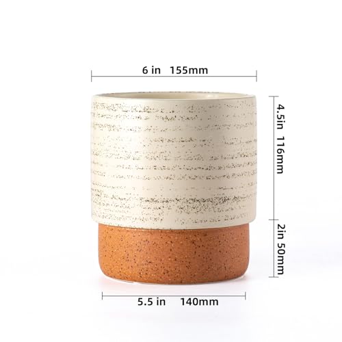 6 Inch Ceramic Self Watering Planter with Drainage Hole, Brush - color: Brush, size: Small