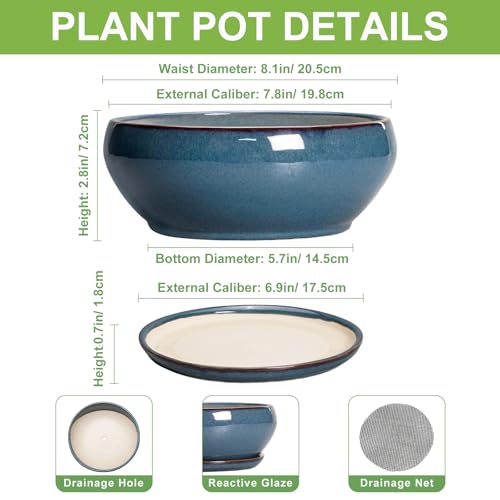 SQOWL Bonsai Pots - 8 Inch Ceramic Succulent Pots with Drainage Hole and Saucer, Round Shallow Planter for Indoor Outdoor Plants Flowers, Ceramic Planter Bowl, Room Decor, Gardening Gifts, Blue - color: Retro Blue, size: 8 Inch