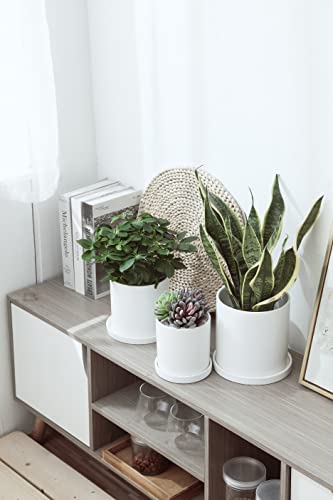 4 Inch White Ceramic Saucer 4 Pack - Drainage Tray for Plant Pot - color: White, size: 4 Inch (4 Pack)