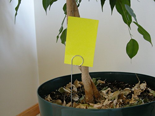25ea. 3" X 5" Yellow Sticky Traps for White Flies, Aphids, Fungus Gnats & Leaf Miners