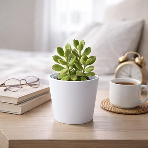 Phoenix Vine 4.5 Inch White Plastic Cachepot with Clear Nursery Pot, Decorative Lightweight Planter Cover with Transparent Inner Pot for Indoor Houseplants, Pack of 2, 24-B-D-2 - color: Matte White, size: 4.5" (2 Pack)