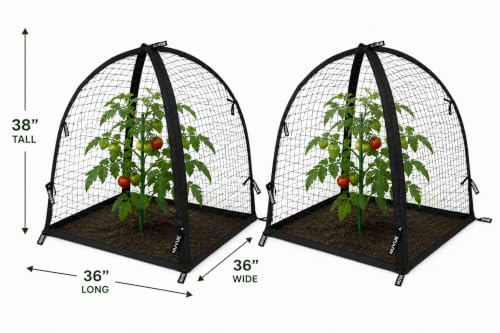 NuVue Products 32102 Pop-Up Garden Netting Pest Guard Covers with Ground Spikes, Mesh Plant Cover Tents for Pest and Animal Control, Pack of 2, Black, 28" x 28" x 30" - color: Black, size: 28" x 28" x 30"