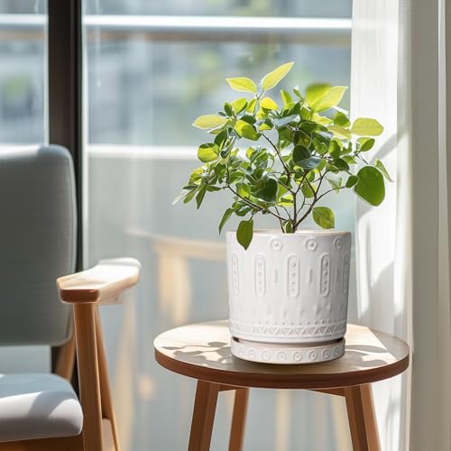 Eightpot Ceramic Planter for Indoor Plants - 8 Inch Plant Pot Outdoor Flower Pot with Drainage Holes and Saucer Modern Round Planter Succulent Pot for Home Garden Decor White - color: White, size: 8 Inch