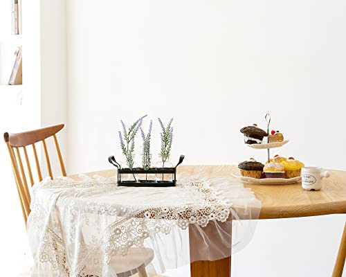 Mkono Propagation Stations, 3 Jars Desktop Glass Plant Terrarium with Stand - size: Medium