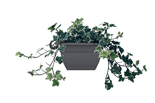 The HC Companies Eclipse Square Hanging Planter for Indoor Plants - Contemporary Hanging Plant Pot w/Attached Saucer - Lightweight & UV-Resistant Hanging Plant Holder (12” Warm Gray, Pack of 1) - color: Warm Gray, size: 12"