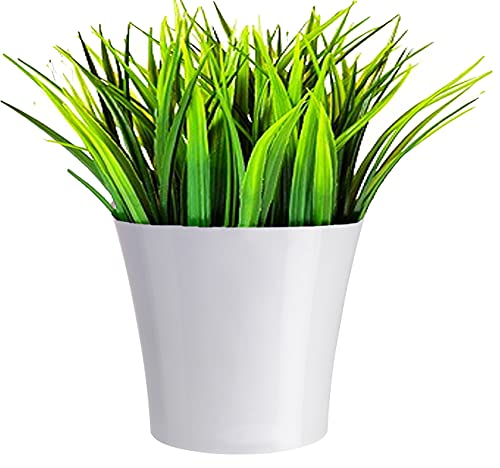 DECOPOTS Pot for Plants | 7.7 Inch | Self Watering Red Plant Planter | Indoor Flower Pot | Plastic Flower Pots with Drainage for All House Plants, Flowers (Diameter 7.7", White - Purple) - color: White/Purple, size: 7.7
