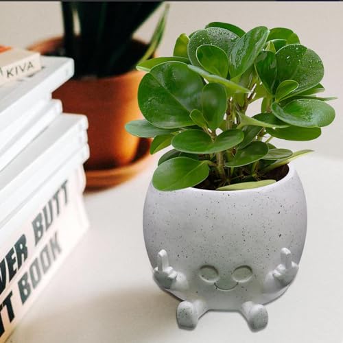 Smiling Plant Pot with Middle Fingers Up, Face Planter Pot Resin Flower Planters for Indoor Outdoor Plants Succulent Pots for String of Pearls Plant Live Gift Ideas for Mother (White)