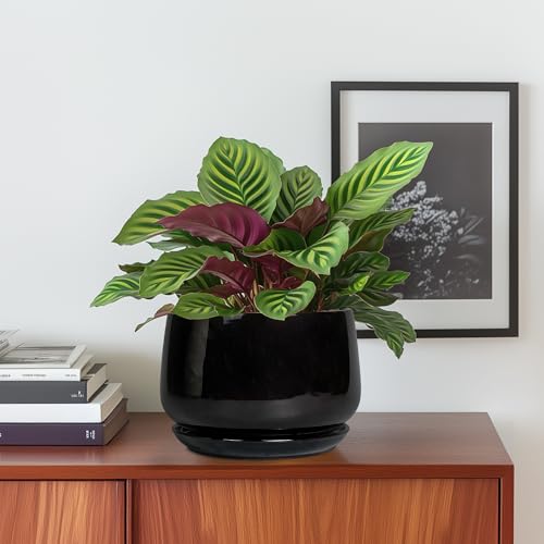 G EPGardening 6 Inch Planter, Ceramic Pot for Plants, Black - color: Black, size: 5 Inch