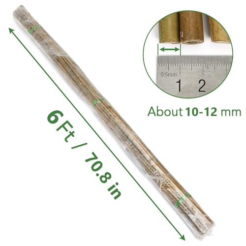 SWANGSA 45 Pack Bamboo Stakes for Plant 6 Feet, Bamboo Sticks for Garden Plant Support Stakes Poles for Tomatoes, Beans, Flowers, Potted Plants, Indoor and Outdoor Climbing Plants - size: 6 Feet - 45 Pack