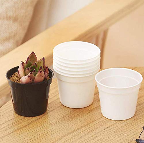 Round Succulents Plant Pots Drainage Hole, Set of 40 Mini Plant Pots 2.5" Wx2.25 H,Perfect for Plant Seeds,Seedling Nursery Transplanting Planter Container(White-40)