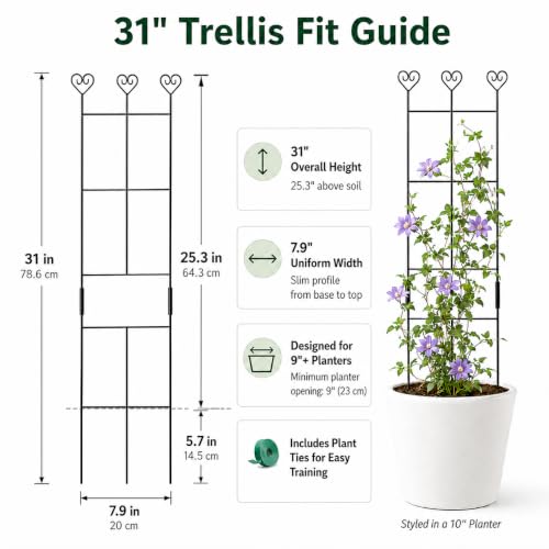 2 Pack 31" Metal Plant Trellis for Climbing Plants, Plant Support - size: 30in/2Pack